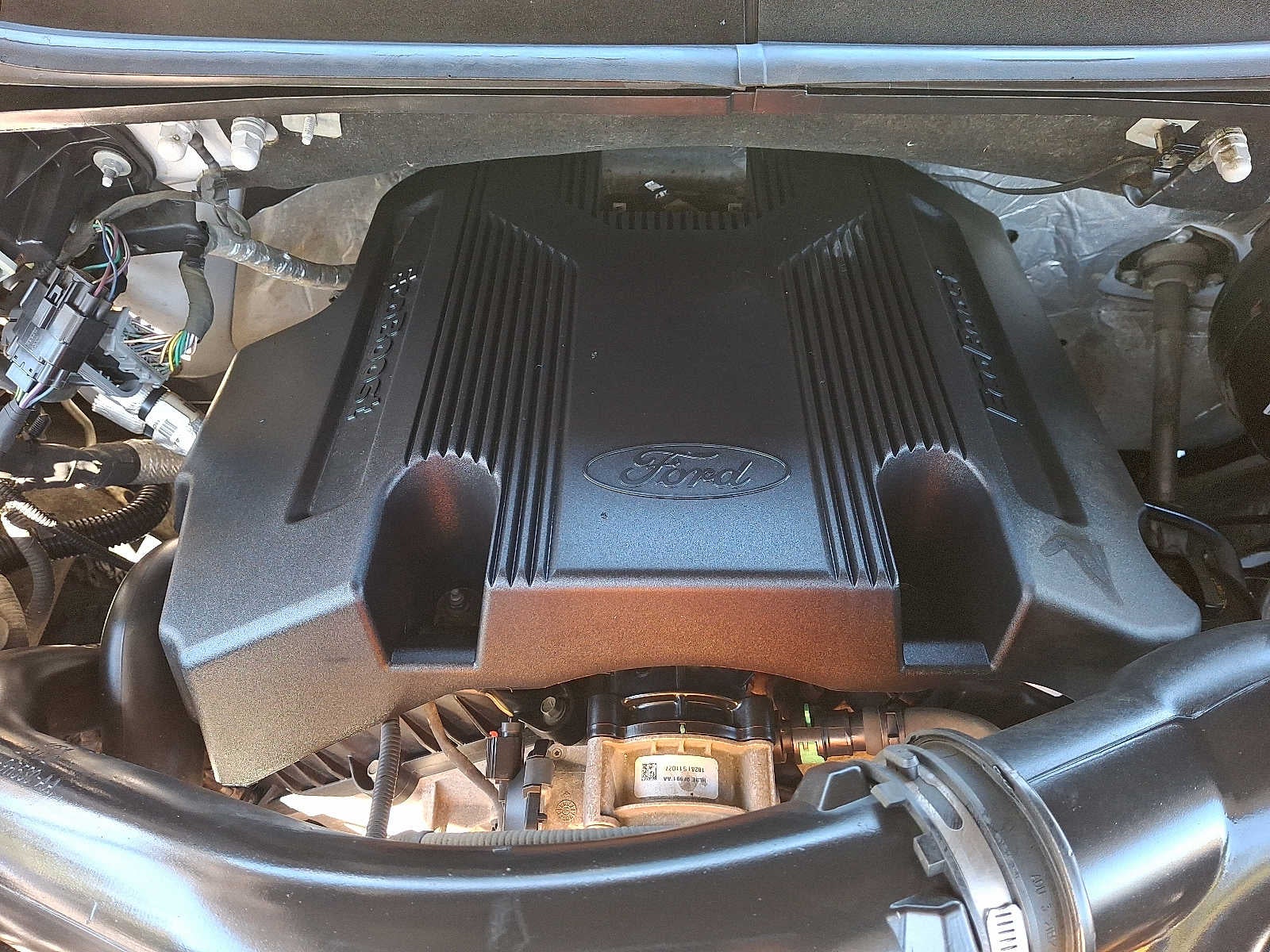 2019 Ford F-150 STX