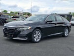 2019 Honda Accord Sedan LX 1.5T