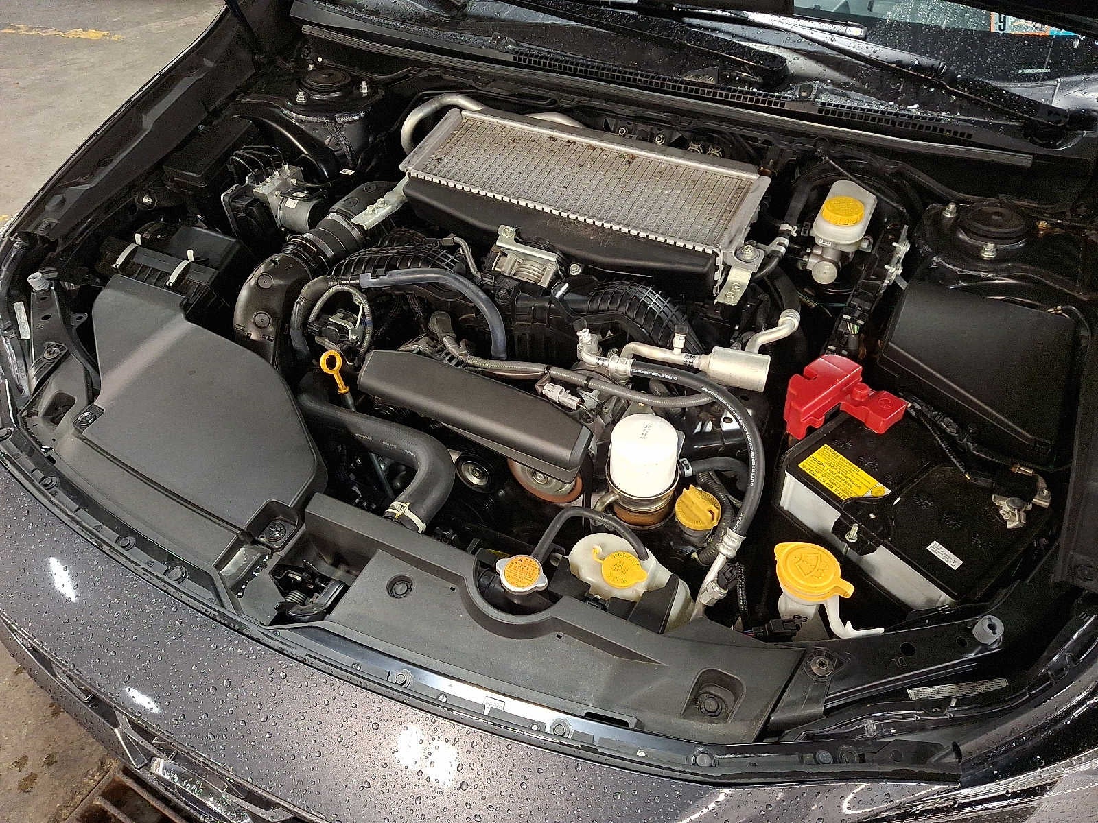 2024 Subaru WRX Limited